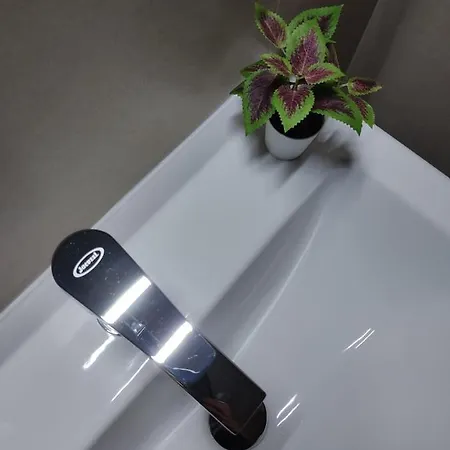 Capovento Della Murgia Altamura